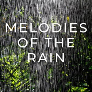 Melodies of the Rain - Sleep Sounds