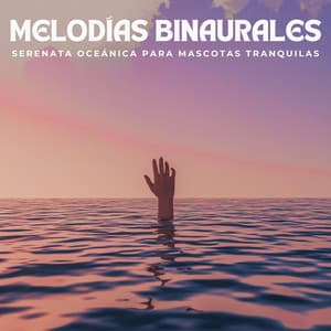 Melodías Binaurales: Serenata Oceánica Para Mascotas Tranquilas - Reiki para animales