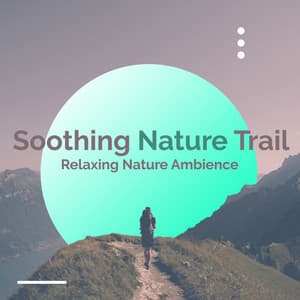 Soothing Nature Trail - Relaxing Nature Ambience