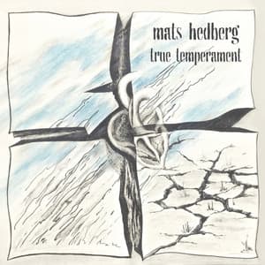 True Temperament - Mats Hedberg