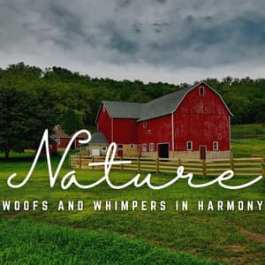 Woofs and Whimpers in Harmony: Sound Journeys - Aura Cleanse