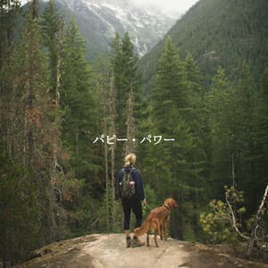 パピー・パワー - Jazz for Work