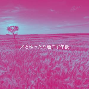 犬とゆったり過ごす午後 - Jazz for A Rainy Day