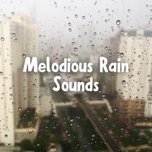 Melodious Rain Sounds - Time to Rest