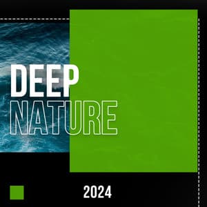 2024 Deep Nature - Heavy Rain Sounds