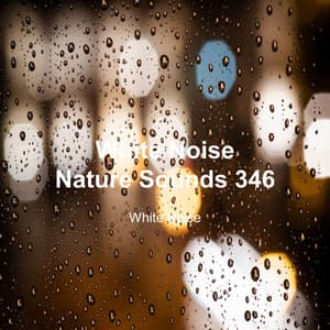 White Noise 346 - White Noise