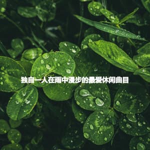 独自一人在雨中漫步的最爱休闲曲目 - Ontspannen Pianomuziek