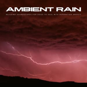 Ambient Rain: Relaxing Soundscapes For Dogs To Deal With Separation Anxiety - The Dog Music Legends