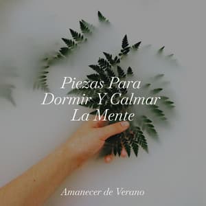 Piezas Para Dormir Y Calmar La Mente - Musica Para Dormir y Sonidos de la Naturaleza