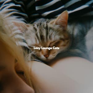 Lazy Lounge Cats - Morning Coffee Playlist