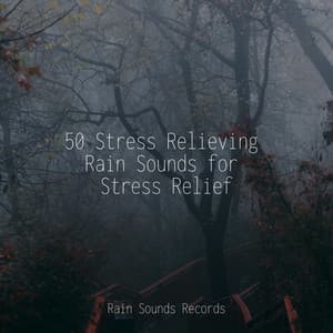 50 Stress Relieving Rain Sounds for Stress Relief - Lightning, Thunder and Rain Storm