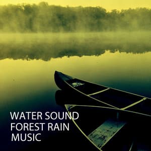 Water Sound: Forest Rain Music - Study Music & Sounds