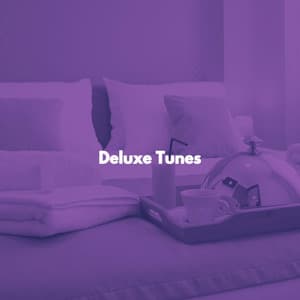 Deluxe Tunes - Jazz Vibe Duo