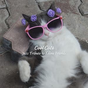 Cool Cats: Jazz Tribute to Feline Friends - Soft Acoustic Jazz