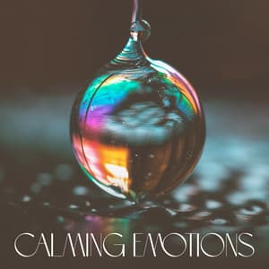 Calming Emotions: Divine Concentration & Awareness of Space, Deep in Mind - Keep Calm Music Collection