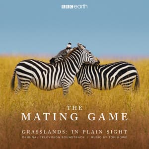 The Mating Game - Grasslands: In Plain Sight - Tom Howe