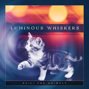 Luminous Whiskers - Reiki for Animals