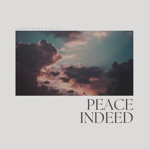 Peace Indeed - Day Spa Music