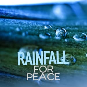 Rainfall for Peace - Relaxing Sounds of Rain Music Club