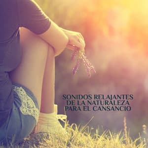 Sonidos Relajantes de la Naturaleza para el Cansancio: Paz, Relajación para ti Después de un Duro Día, El Sonido del Agua y el Bosque, Sueño Profundo y Regenerador - Academia de Sonidos de la Naturaleza para Dormir