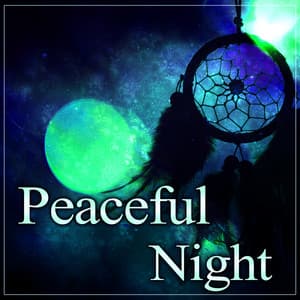 Peaceful Night - Sleepy Sleep, Relaxing Music, Cool Night, Calm Rest - Inner Peace Paradise
