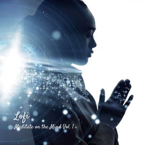 Lofi: Meditate on the Mind Vol. 1 - Lofiwaala