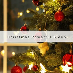 2 0 2 2 Christmas Powerful Sleep - Christmas 2022