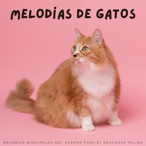 Melodías De Gatos: Melodías Binaurales Del Océano Para El Descanso Felino - Puertos y Océanos