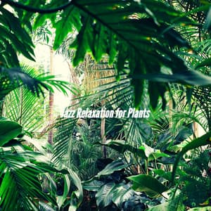 Jazz Relaxation for Plants - Smooth Jazz New York