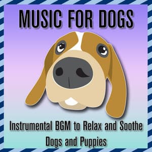 Music for Dogs: Instrumental BGM to Soothe and Relax Dogs and Puppies - Puppy Music Dreams