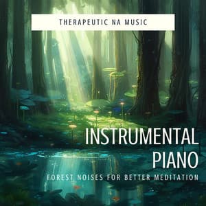 Instrumental Piano - Therapeutic NA Music