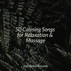 50 Calming Songs for Relaxation & Massage - Spa