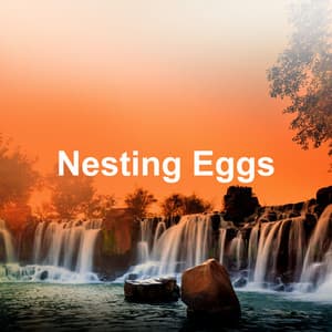 Nesting Eggs - Nature Field Recordings