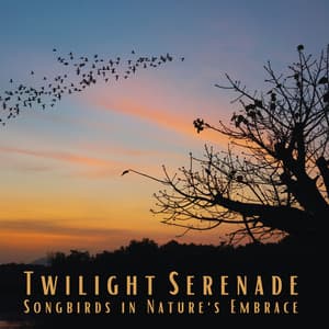 Twilight Serenade: Songbirds in Nature's Embrace - Natures Orchestra