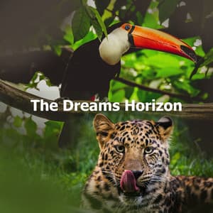 The Dreams Horizon - Baby Sleeps