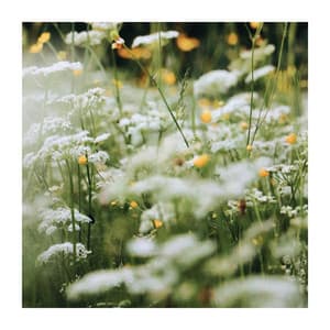 Piano and Nature Perfect Harmony - Zen Room Masters