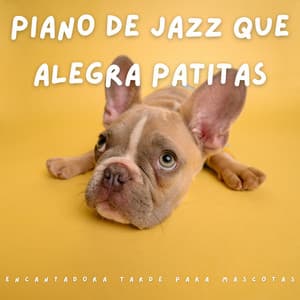 Piano De Jazz Que Alegra Patitas: Encantadora Tarde Para Mascotas - Consorte de música de piano relajante