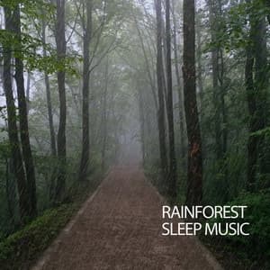 Rainforest Sleep Music - Forest FX