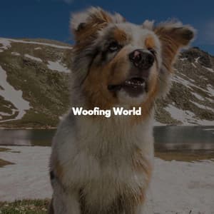 Woofing World - Jazz Chill Out Lounge