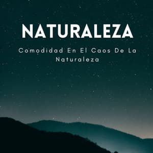 Comodidad En El Caos De La Naturaleza - Ruidos de la Naturaleza