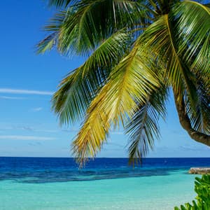 50 Ambient Waves: Soothing Songs - Coastal Sounds