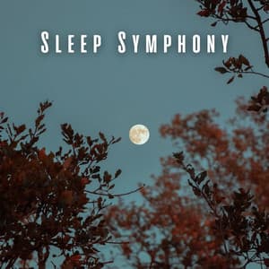 Sleep Symphony: Lofi Vibes for Dreamy Nights - Chill Hop Playlist