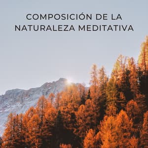 Composición De La Naturaleza Meditativa - Sonidos ambientales de la naturaleza