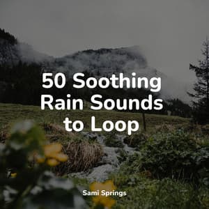 50 Soothing Rain Sounds to Loop - Loopable Rain Sounds