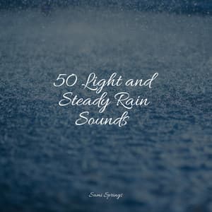 50 Light and Steady Rain Sounds - Meditação Maestro
