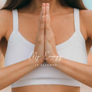 My Energy Is Aligned - Reiki Raj