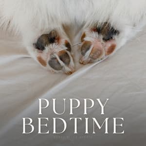 Puppy Bedtime - Sleep Dog