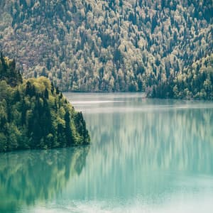 Birds Of Paradise - Entspannings und Schlaf Musik