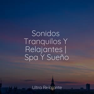 Sonidos Tranquilos Y Relajantes | Spa Y Sueño - Musica para Dormir Dream House