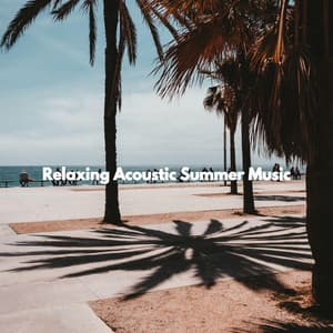 Relaxing Acoustic Summer Music - Relaxing Instrumental Jazz Cafe